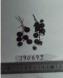 Click for 1 image(s) for this accession. FRUIT